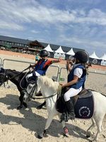 Enseignement de l'équitation à domicile