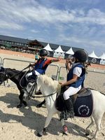 Enseignement de l'équitation à domicile 